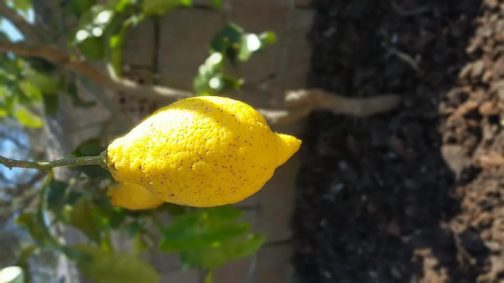 Prázdninový dům Vila Garden House Ksamil Albánie