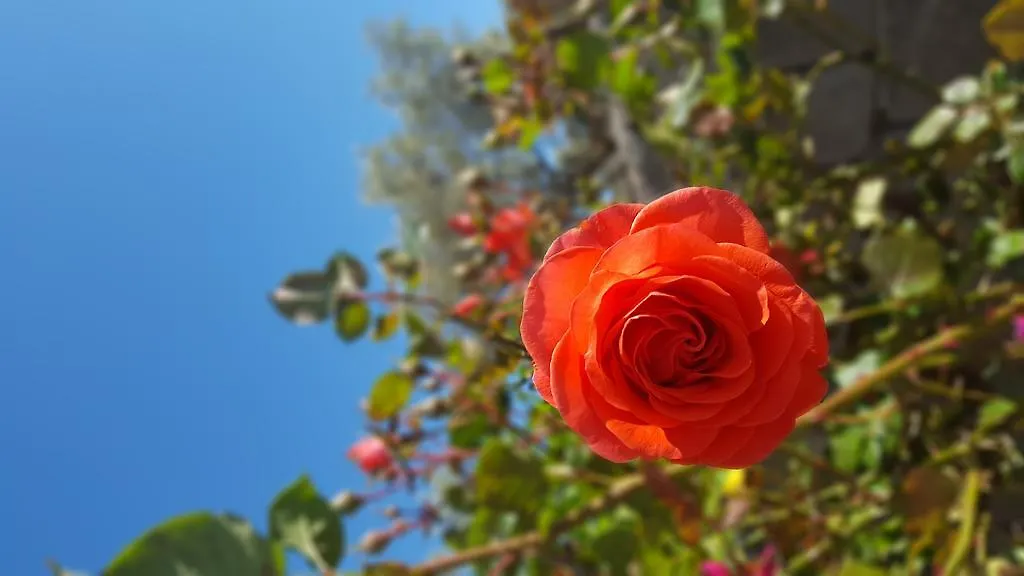 Vila Garden House Ksamil