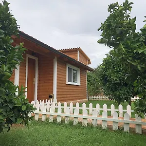 The Mussel House Holiday home
